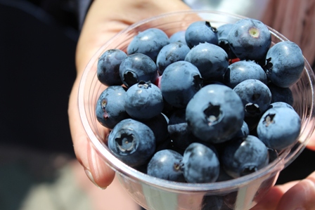 山盛りブルーベリー