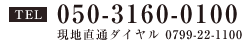 TEL 0799-22-1100