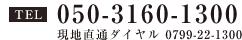 TEL 0799-22-1300