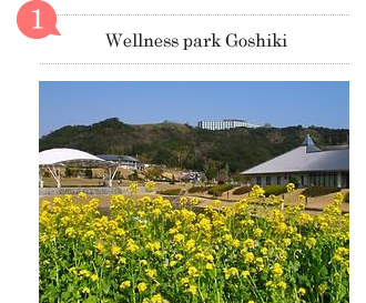 Wellness park Goshiki