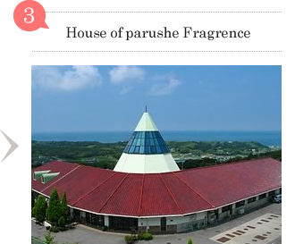 House of parushe Fragrence