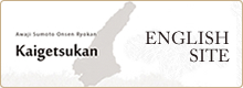 ENGLISH SITE
