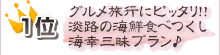 人気プランランキング 1位